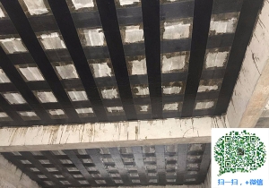 大厂厂房碳纤维加固
